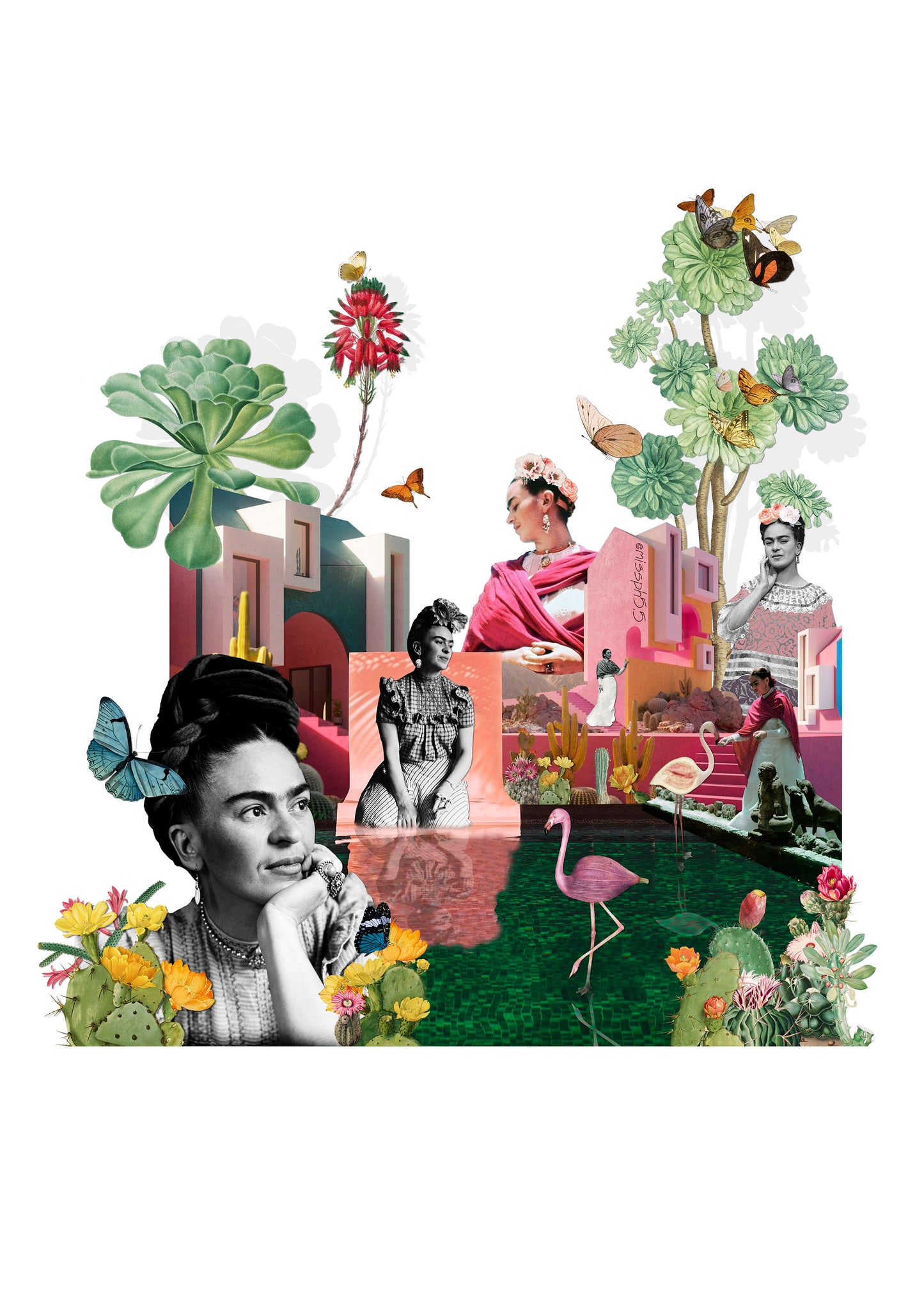 Frida's Garden